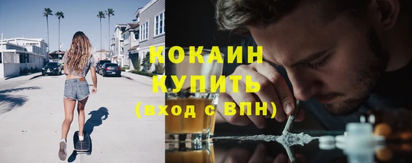 молекула духа Абинск