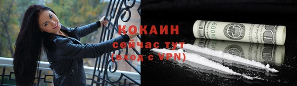 прущие крисы Абаза
