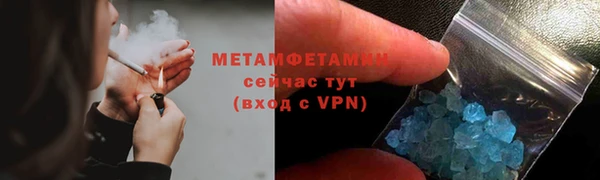 прущие грибы Каменск-Шахтинский