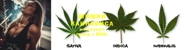 прущие крисы Абаза