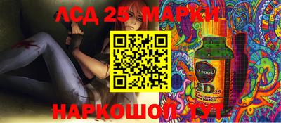 гидра Братск