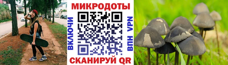 Галлюциногенные грибы MAGIC MUSHROOMS  omg tor  Ангарск 