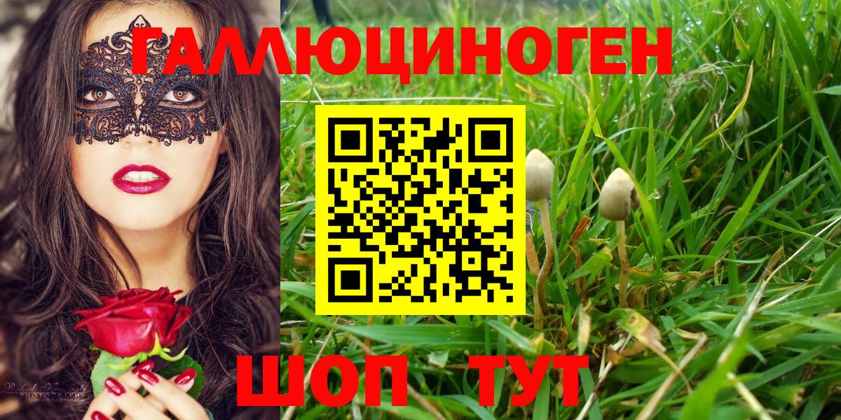 Псилоцибиновые грибы ЛСД  купить наркоту  Ангарск  Вход с VPN 